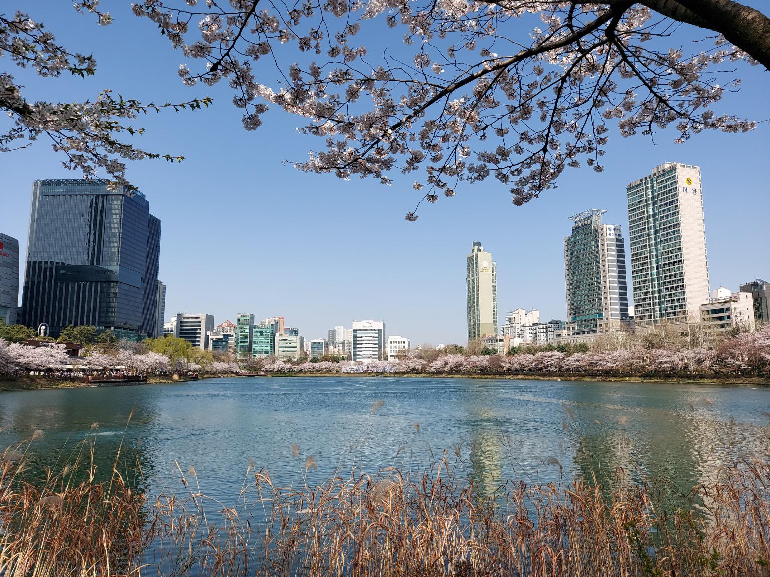 images/post/seokchon-park-primavera.jpg