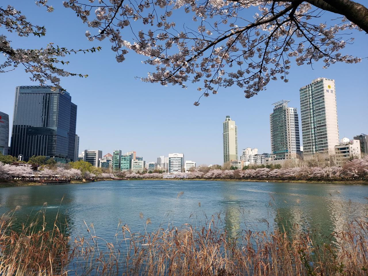 Foto del parco del Lago di Seokchon in primavera