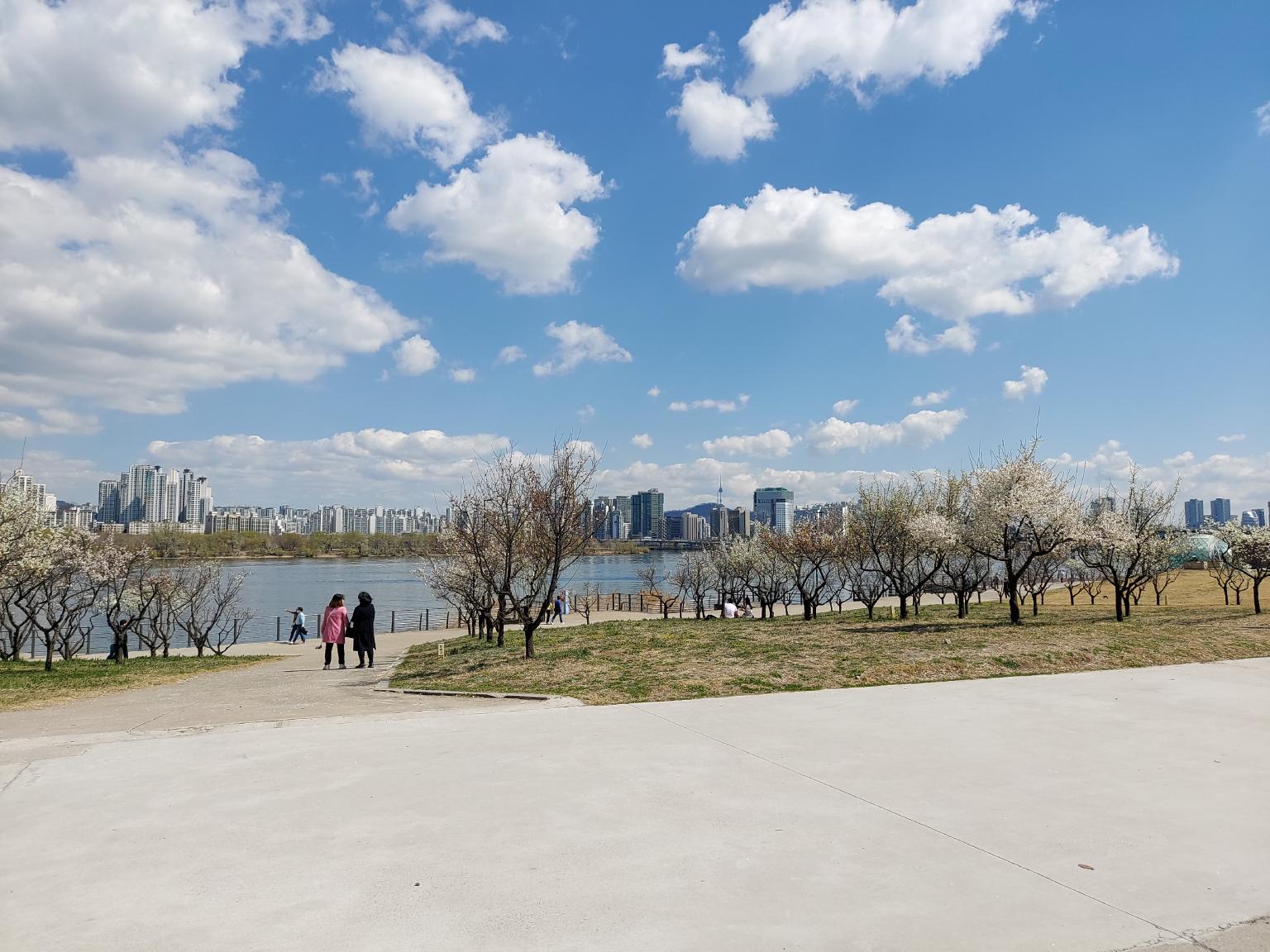 images/post/yeouido-hangang-park.jpg